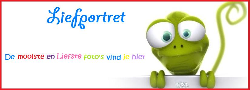 liefportret